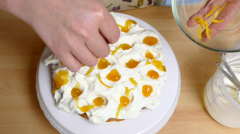 Orangen-Zitronen-Torte 21