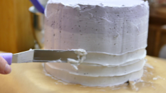 Kokos-Blaubeer-Torte 12