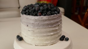 Kokos-Blaubeer-Torte 1
